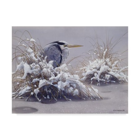 Harro Maass 'Grey Heron' Canvas Art,24x32